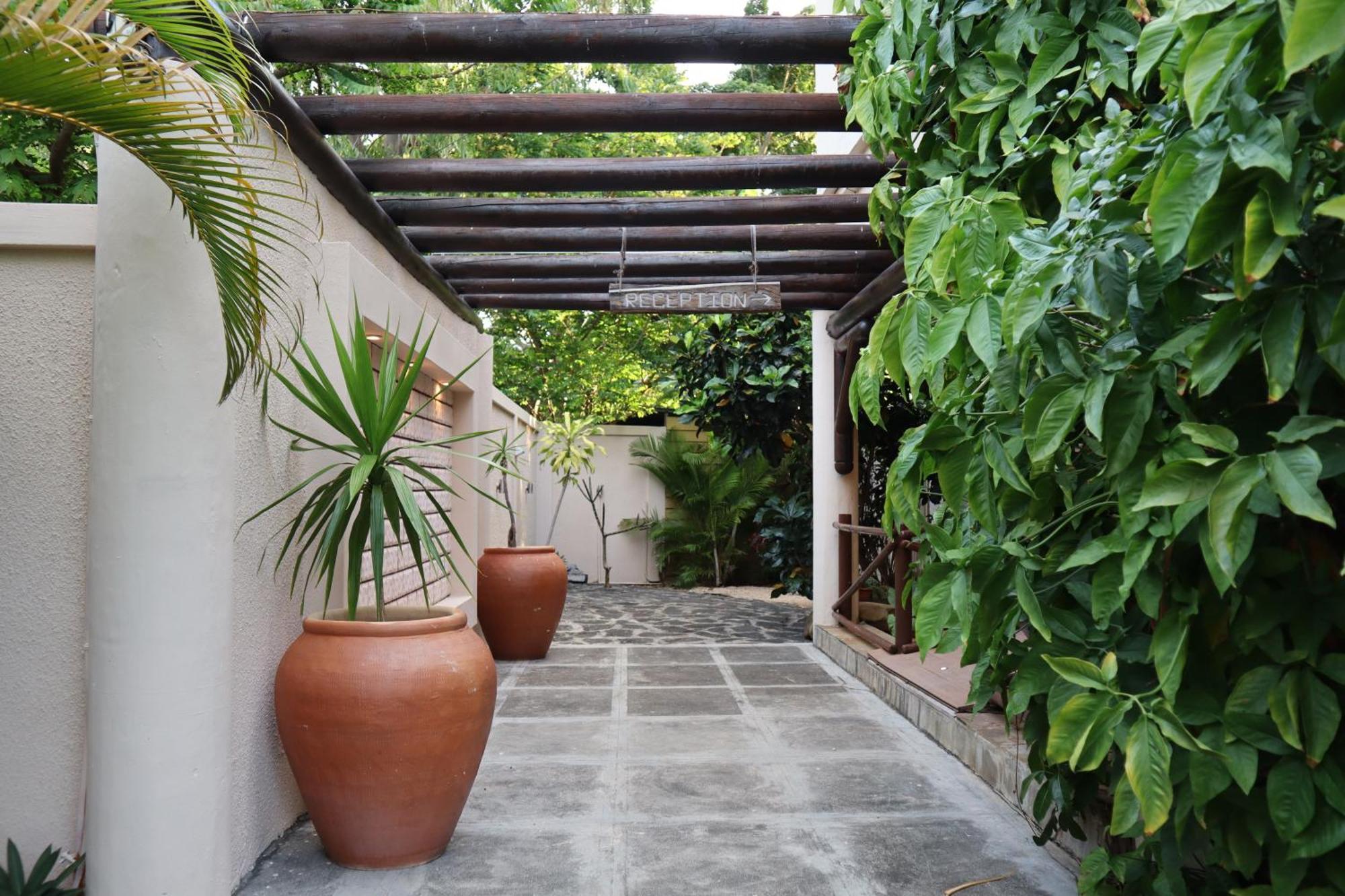 Le Gite Du Bonheur Guest House & Car Rental Tamarin Exteriér fotografie